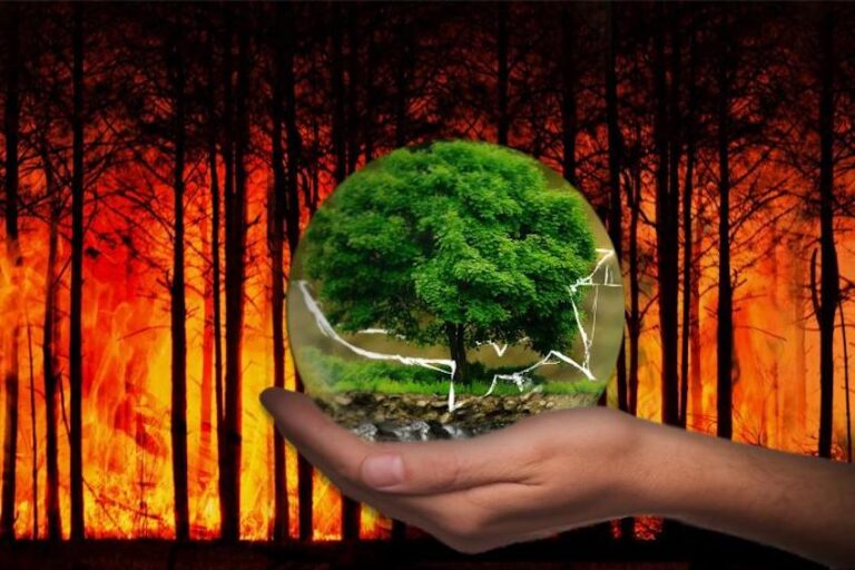 Computação em nuvem verde: o que é quais as suas vantagens?